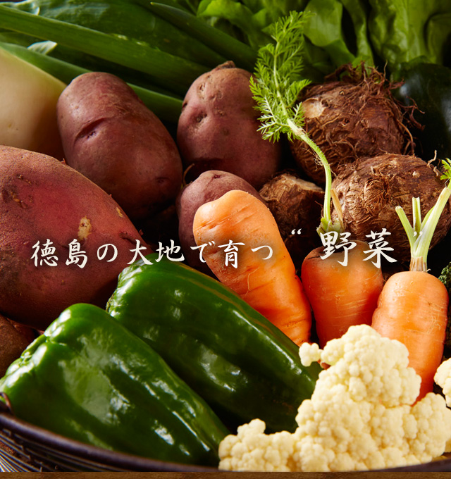 徳島の大地で育つ“野菜”